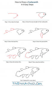 How to Draw a Coelacanth