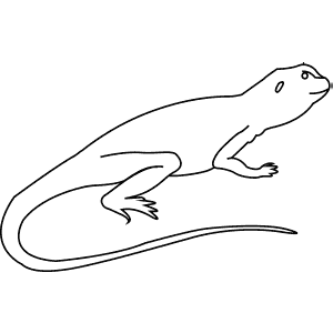 How To Draw a Collared Lizard - Step-By-Step Tutorial