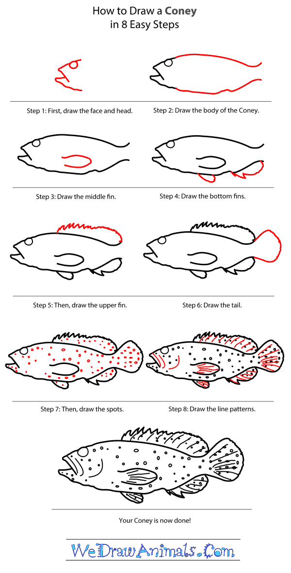 How to Draw a Coney - Step-by-Step Tutorial