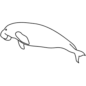 Download 46+ Coloring Picture Dugong Coloring Pages PNG PDF File