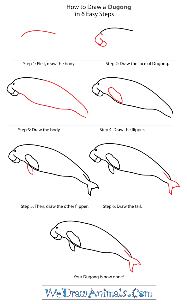 How to Draw a Dugong - Step-By-Step Tutorial