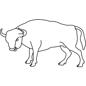 How To Draw a European Bison - Step-By-Step Tutorial