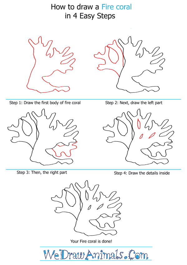How to Draw a Fire Coral - Step-by-Step Tutorial