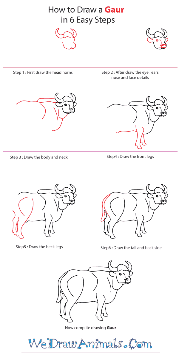How to Draw a Gaur - Step-by-Step Tutorial