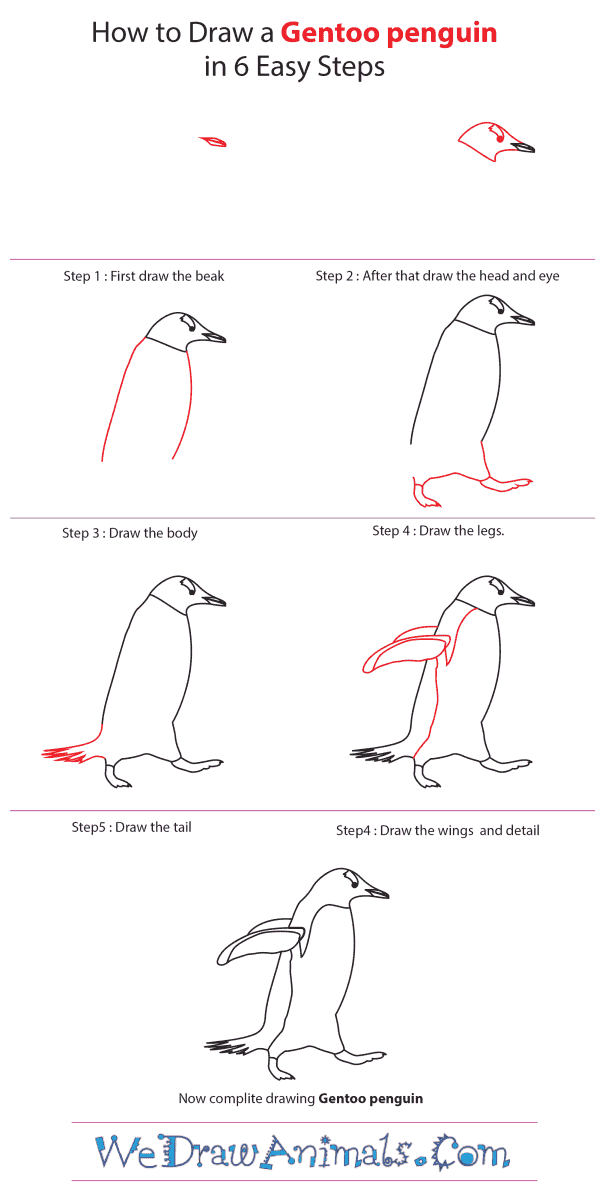 How to Draw a Gentoo Penguin - Step-by-Step Tutorial