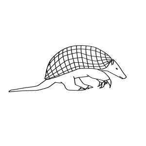 How To Draw a Giant Armadillo - Step-By-Step Tutorial