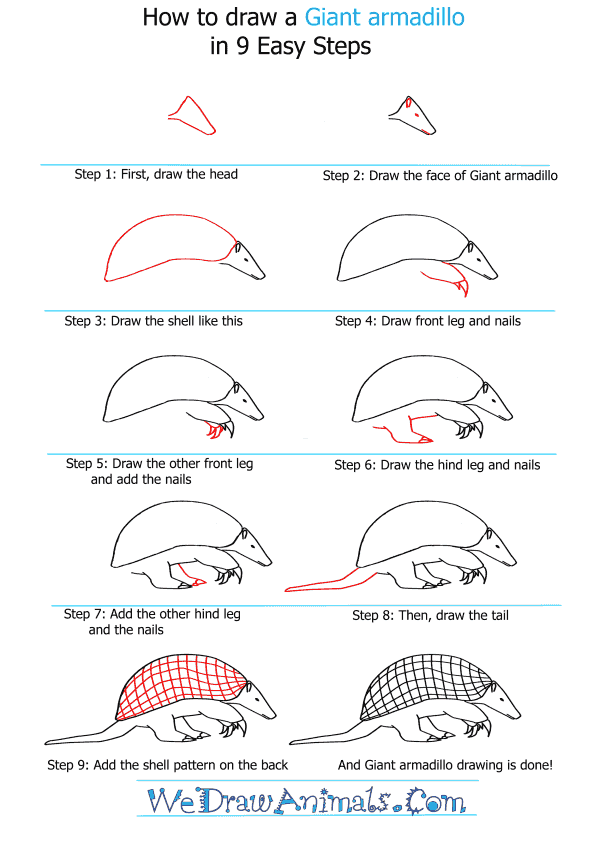 How to Draw a Giant Armadillo - Step-by-Step Tutorial