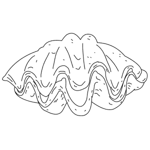 How To Draw a Giant Clam - Step-By-Step Tutorial