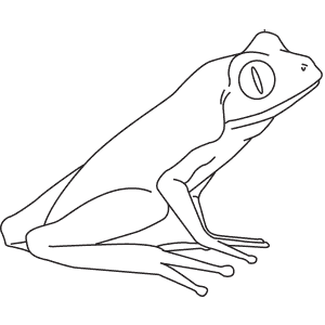 How To Draw a Golden Frog - Step-By-Step Tutorial