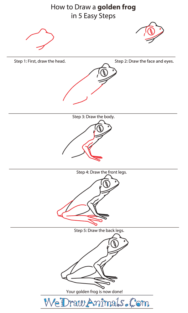 How to Draw a Golden Frog - Step-by-Step Tutorial