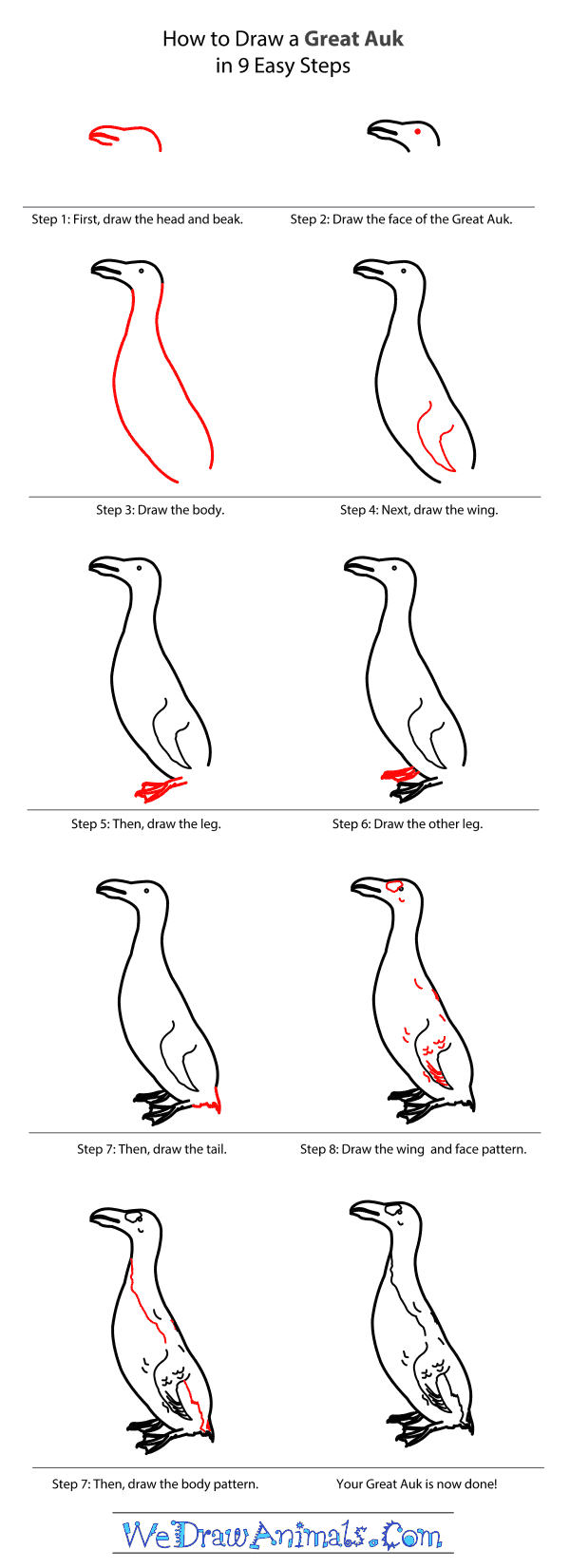 How to Draw a Great Auk - Step-by-Step Tutorial