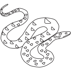 How To Draw a Green Anaconda - Step-By-Step Tutorial