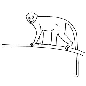 How To Draw a Green Monkey - Step-By-Step Tutorial