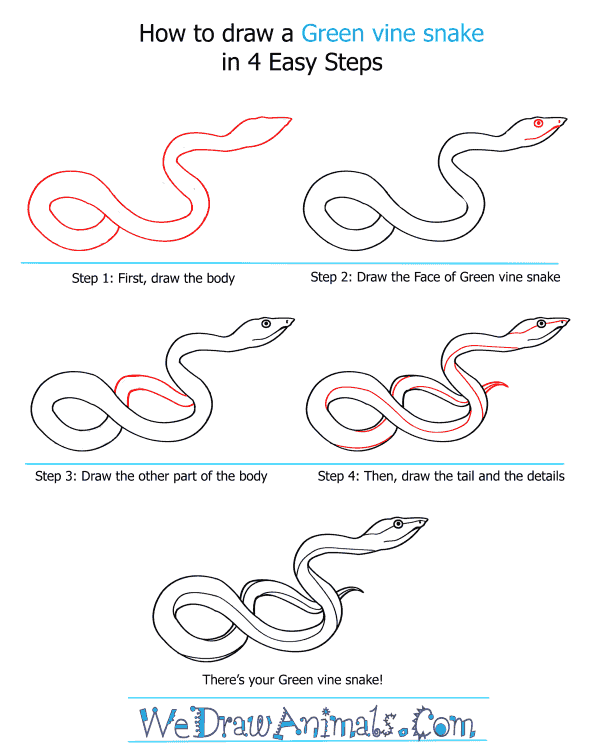 How to Draw a Green Vine Snake - Step-by-Step Tutorial