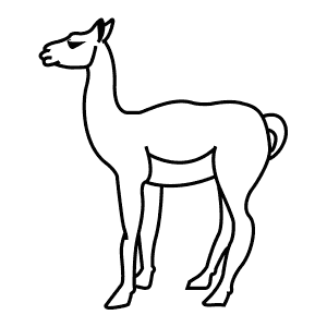 How To Draw a Guanaco - Step-By-Step Tutorial