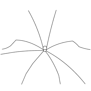 How To Draw a Harvestman - Step-By-Step Tutorial