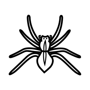 How To Draw a House Spider - Step-By-Step Tutorial