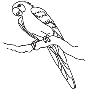 How To Draw a Hyacinth Macaw - Step-By-Step Tutorial