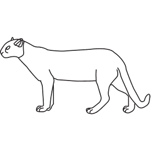 How To Draw a Jaguarundi - Step-By-Step Tutorial