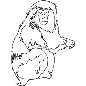 How To Draw a Japanese Macaque - Step-By-Step Tutorial