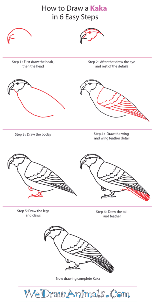 How to Draw a Kaka