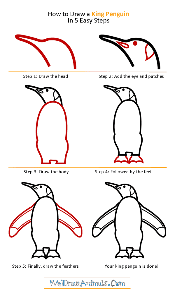 How to Draw a King Penguin - Step-by-Step Tutorial