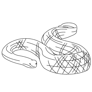 How To Draw a Leaf-Scaled Sea Snake - Step-By-Step Tutorial