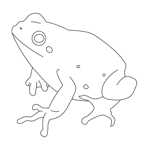 How To Draw a Lemon-Yellow Tree Frog - Step-By-Step Tutorial