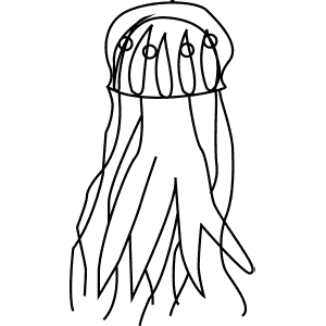 How To Draw a Lion'S Mane Jellyfish - Step-By-Step Tutorial