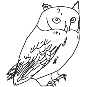 How To Draw a Little Owl - Step-By-Step Tutorial