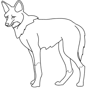 How To Draw a Maned Wolf - Step-By-Step Tutorial