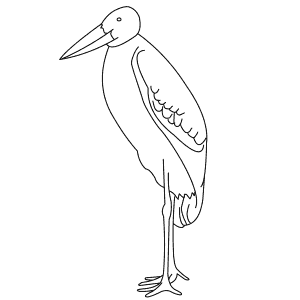 How To Draw a Marabou Stork - Step-By-Step Tutorial