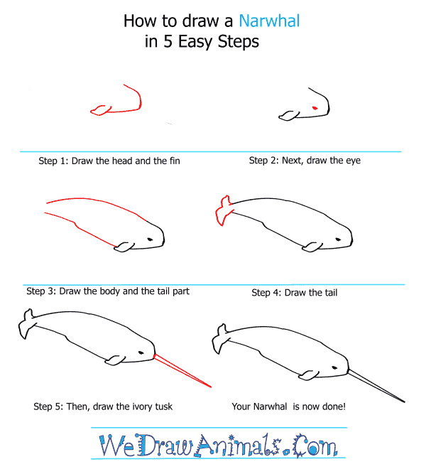 How to Draw a Narwhal - Step-By-Step Tutorial