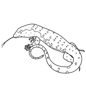 How To Draw a Nile Monitor - Step-By-Step Tutorial