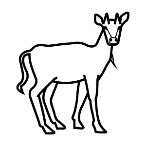 How To Draw a Nilgai - Step-By-Step Tutorial