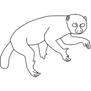 How To Draw a Potto - Step-By-Step Tutorial