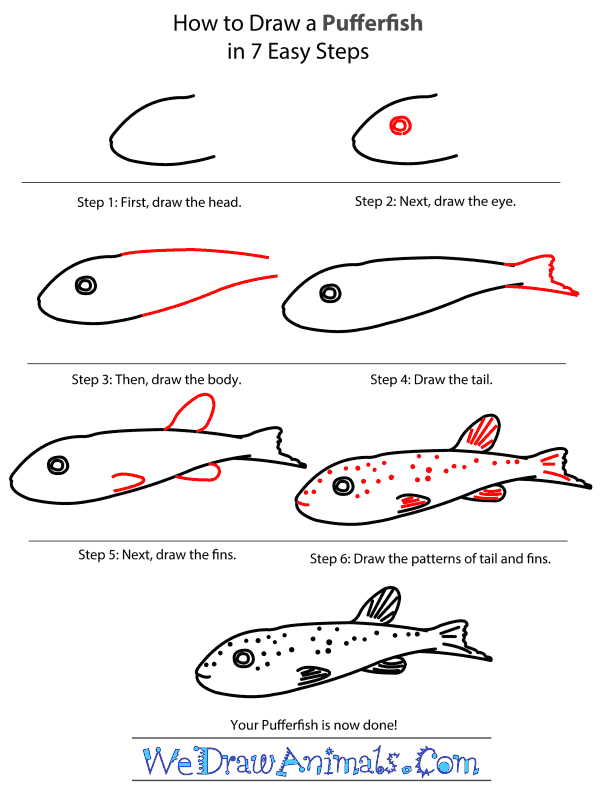 How to Draw a Pufferfish - Step-by-Step Tutorial