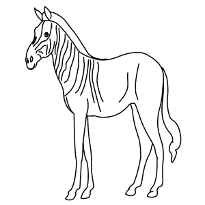 How To Draw a Quagga - Step-By-Step Tutorial