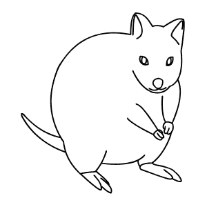 How To Draw a Quokka - Step-By-Step Tutorial