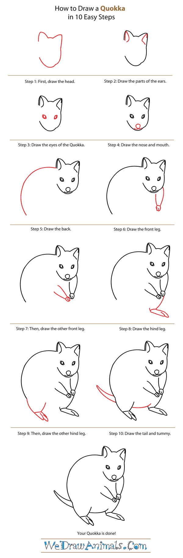 How to Draw a Quokka - Step-By-Step Tutorial