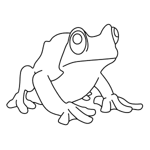 How To Draw a Rabb'S Fringe-Limbed Treefrog - Step-By-Step Tutorial