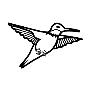 How To Draw a Ruby-Throated Hummingbird - Step-By-Step Tutorial