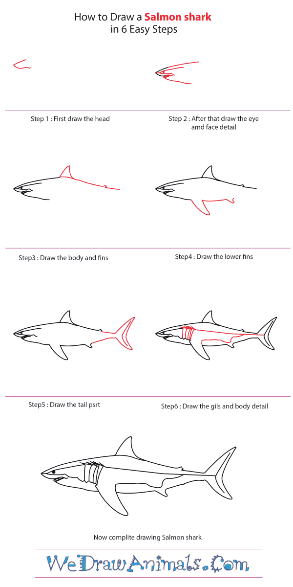 How to Draw a Salmon Shark - Step-by-Step Tutorial