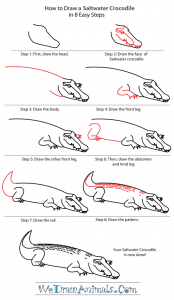 How to Draw a Saltwater Crocodile