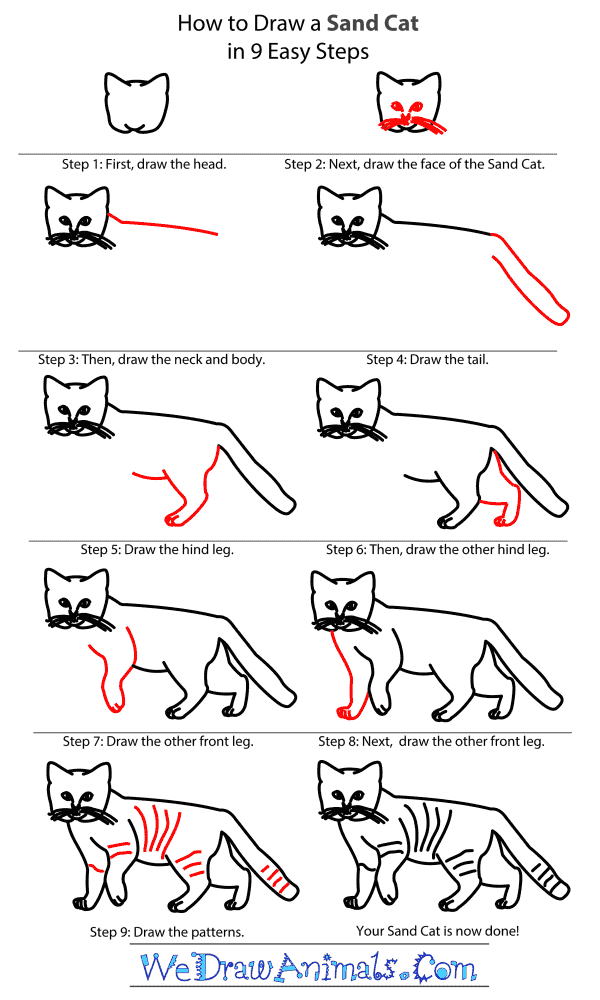 How to Draw a Sand Cat - Step-By-Step Tutorial