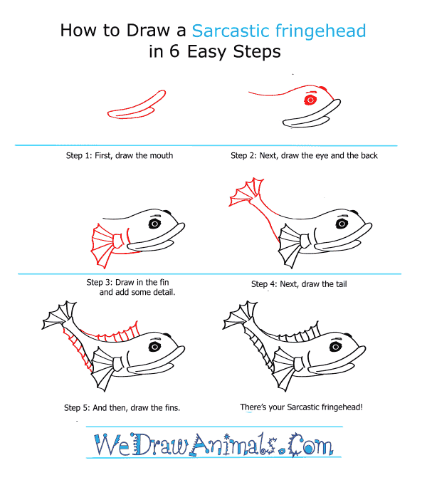 How to Draw a Sarcastic Fringehead - Step-by-Step Tutorial