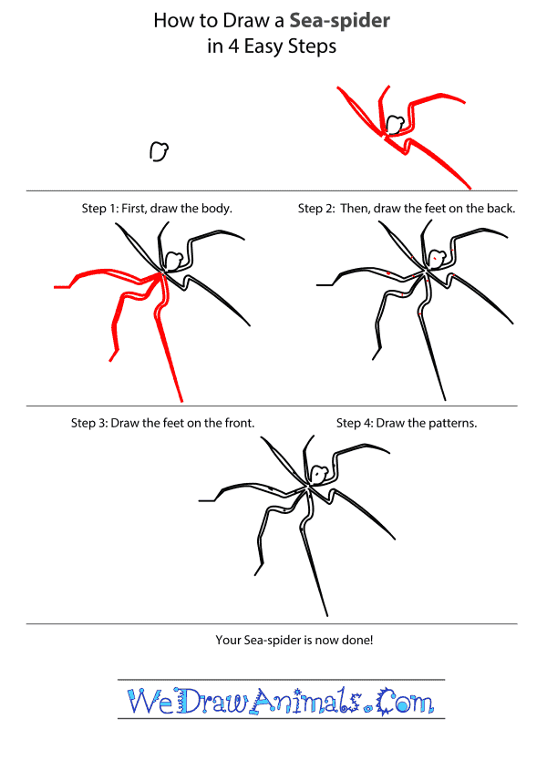 How to Draw a Sea-Spider - Step-by-Step Tutorial