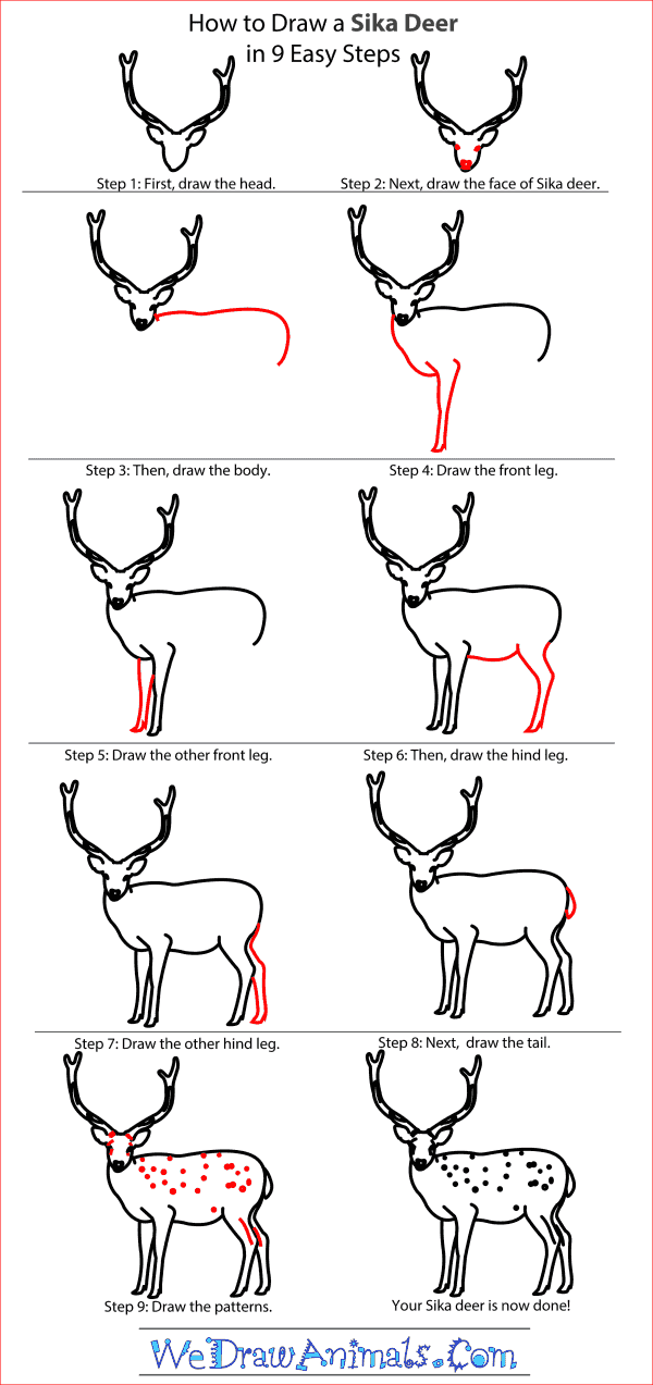 How to Draw a Sika Deer - Step-by-Step Tutorial