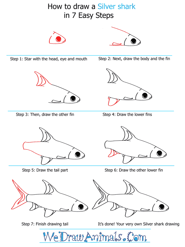 How to Draw a Silver Shark - Step-by-Step Tutorial