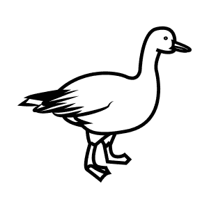 How To Draw a Snow Goose - Step-By-Step Tutorial